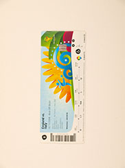 2010 World Cup 'England vs Italy' Ticket